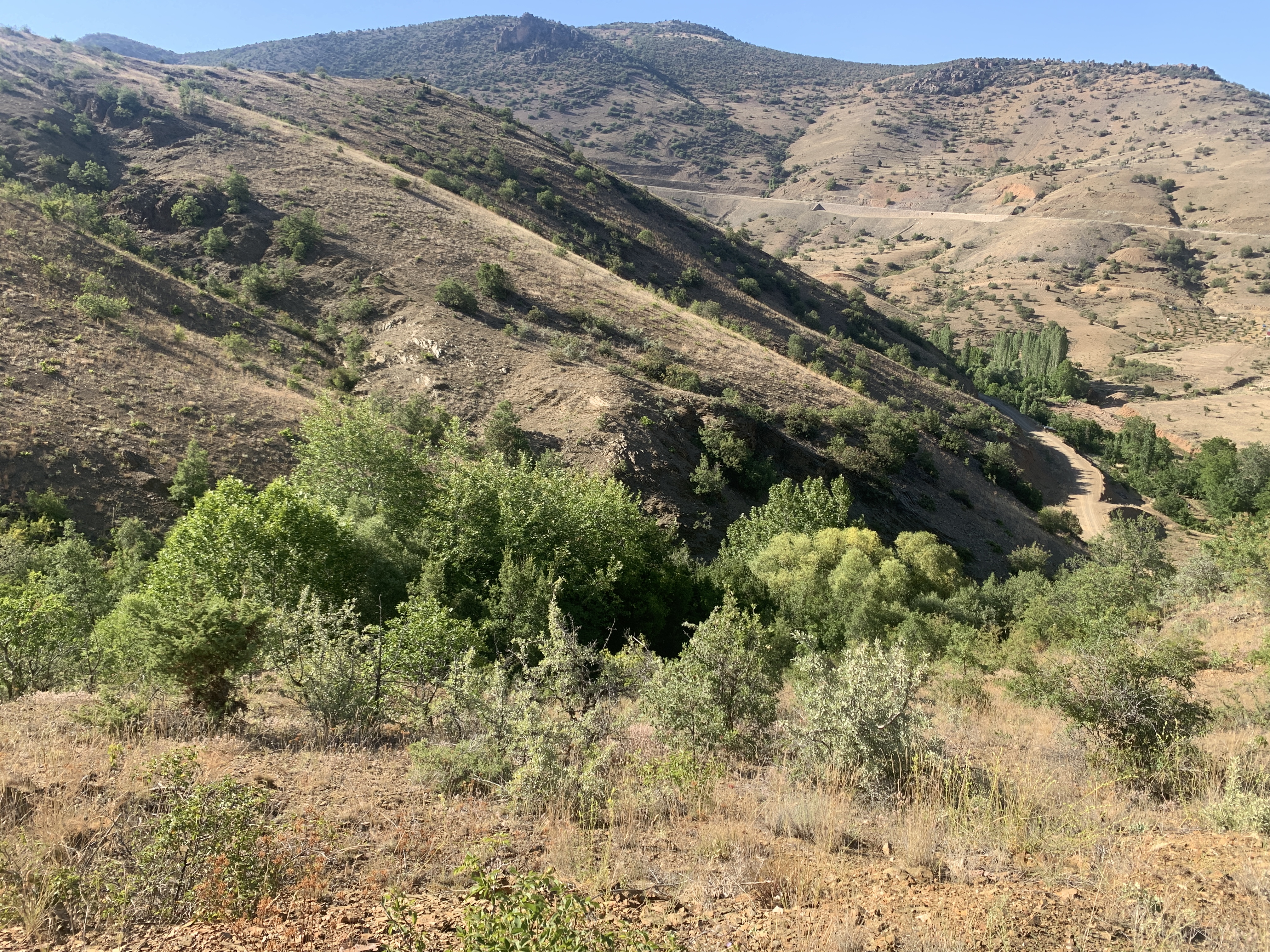 KONYA HADİM EĞİSTE KÖYÜNDE 528 M2 BAĞ SATILIKTIR. - KONYA HADİM fotoğraf 7